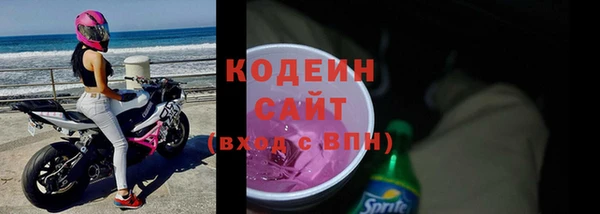 дурь Краснослободск