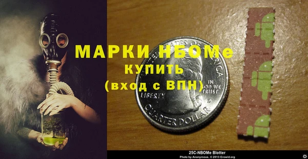 дурь Краснослободск
