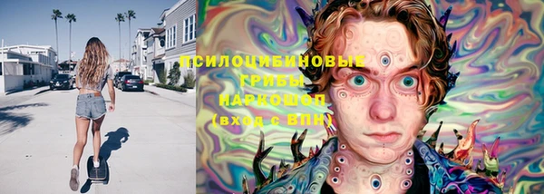 дурь Краснослободск